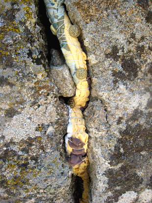 Reptadora II. Detalle